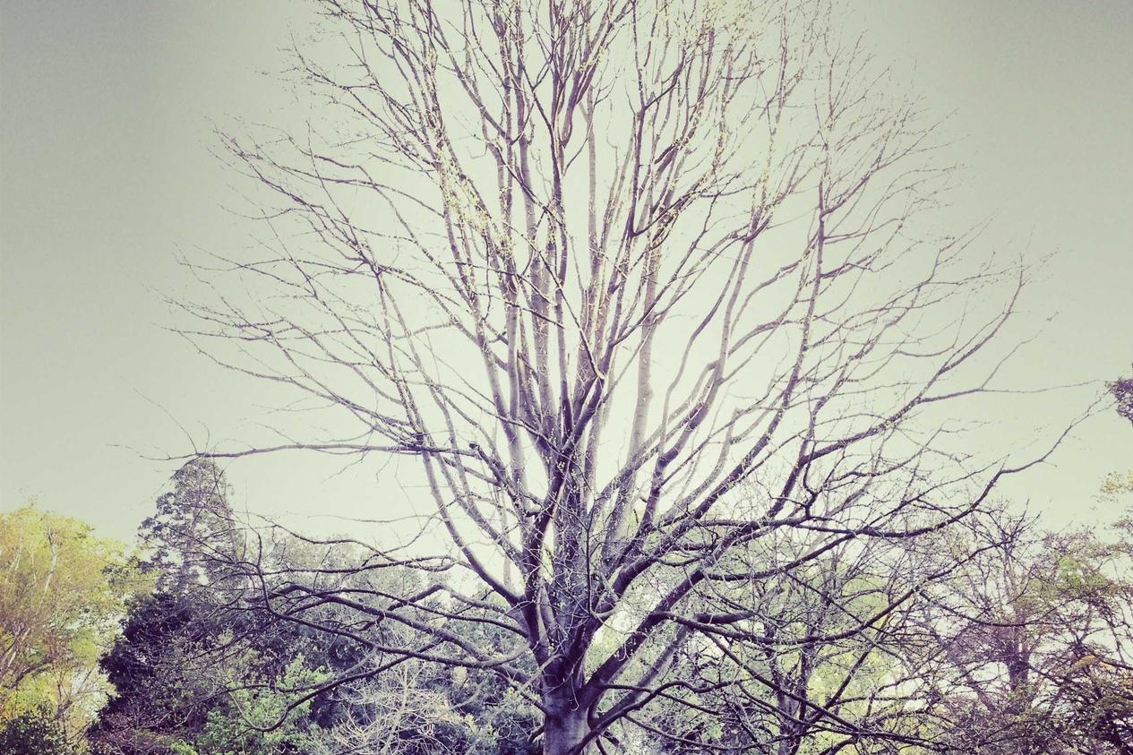 Ea provident unde aspernatur ipsa odio omnis