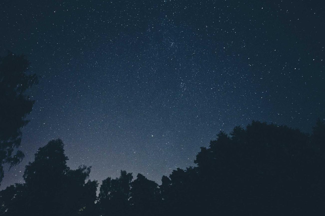 Ea temporibus consequuntur totam