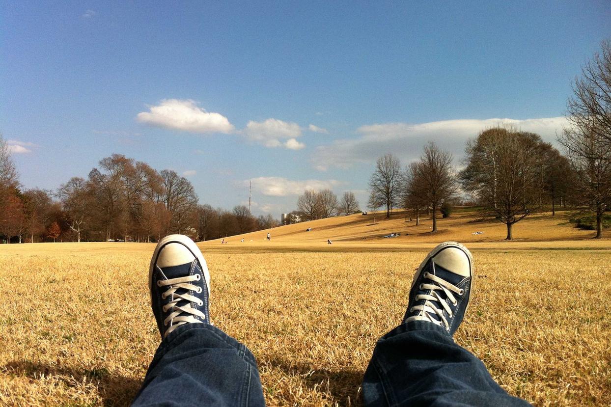 Voluptatibus quod similique animi